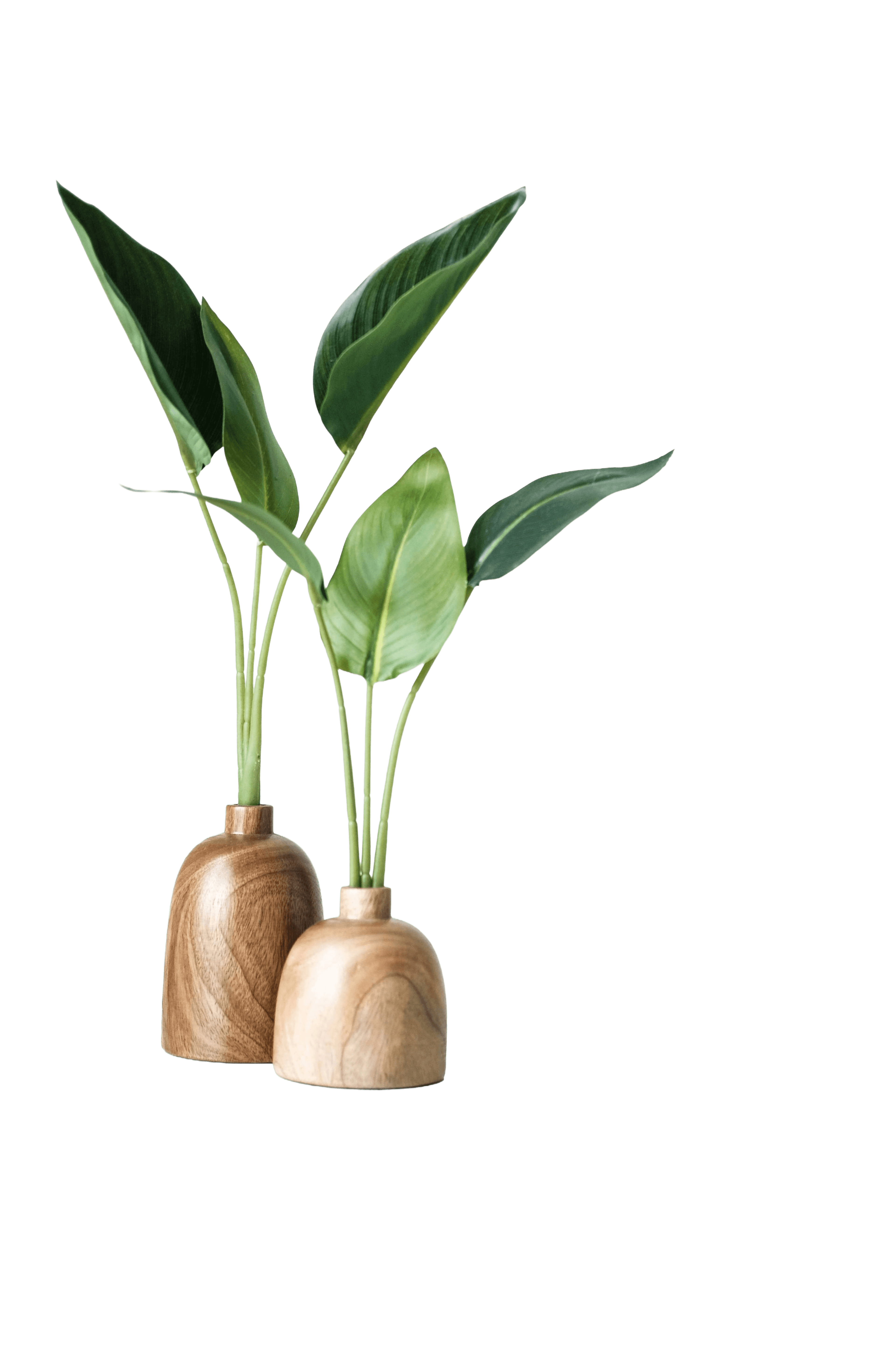 Daily skincare ritual